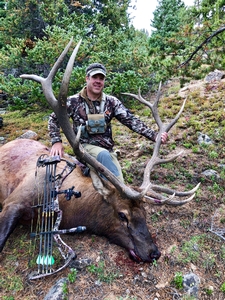 What a huge 6x7 bull elk ... congrats Scott!